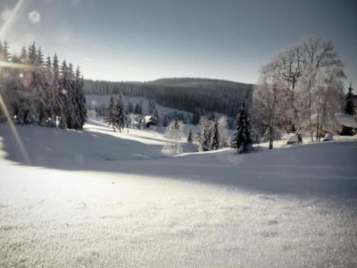 Holiday house Peaceful Stay in Jägersgrün - Environment photo 29
