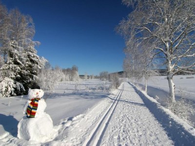 Holiday house Peaceful Stay in Jägersgrün - Environment photo 30