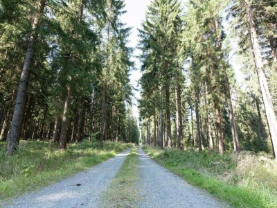 Holiday house Peaceful Stay in Jägersgrün - Environment photo 31