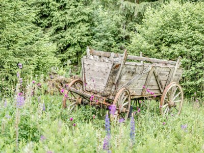 Holiday house Peaceful Stay in Jägersgrün - Outdoor photo 35