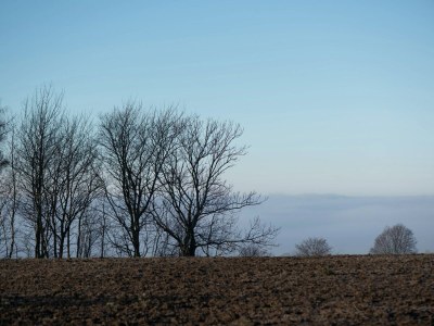 Apartment Comfort Near Oberwiesenthal - Environment photo 18