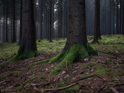 Apartment Comfort Near Oberwiesenthal - Environment photo 19