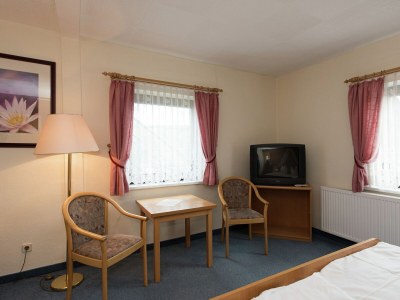 Holiday house Grand Getaway in Deutschneudorf - Features photo 13