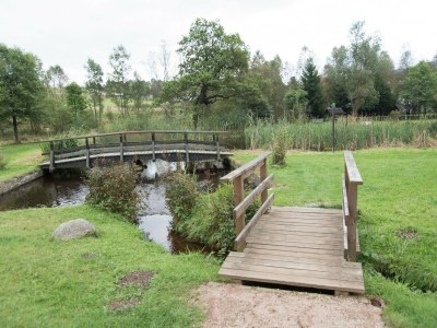 Holiday house Grand Getaway in Deutschneudorf - Environment photo 29