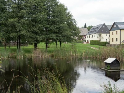 Holiday house Grand Getaway in Deutschneudorf - Environment photo 30