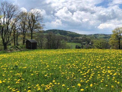 Holiday house Grand Getaway in Deutschneudorf - Environment photo 33