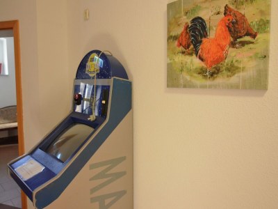 Holiday house Grand Getaway in Deutschneudorf - Outdoor photo 36