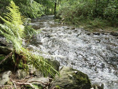 Holiday house Grand Getaway in Deutschneudorf - Outdoor photo 40