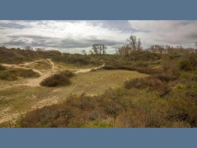 Villa Peaceful Villa in Borstendorf - Environment photo 24