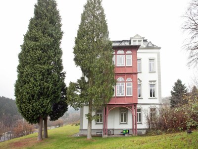 Villa Moderne Villa in Borstendorf mit Park - Outdoor photo 3