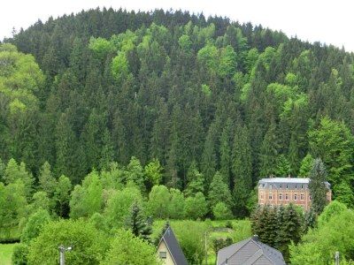 Villa Moderne Villa in Borstendorf mit Park - Outdoor photo 6