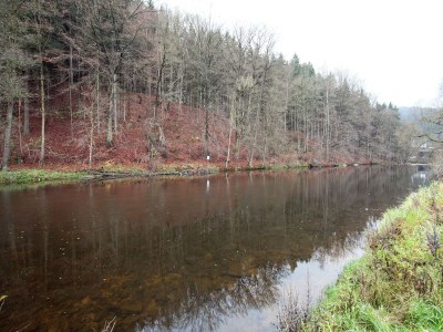 Villa Moderne Villa in Borstendorf mit Park - Environment photo 24