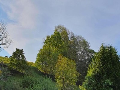 Villa Moderne Villa in Borstendorf mit Park - Environment photo 28