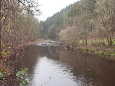 Villa Moderne Villa in Borstendorf mit Park - Environment photo 33