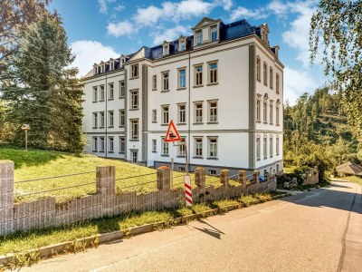 Villa Mountain Bliss in Borstendorf in Central Ore Mountains - Villa