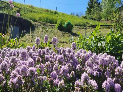 Villa Mountain Bliss in Borstendorf - Environment photo 31