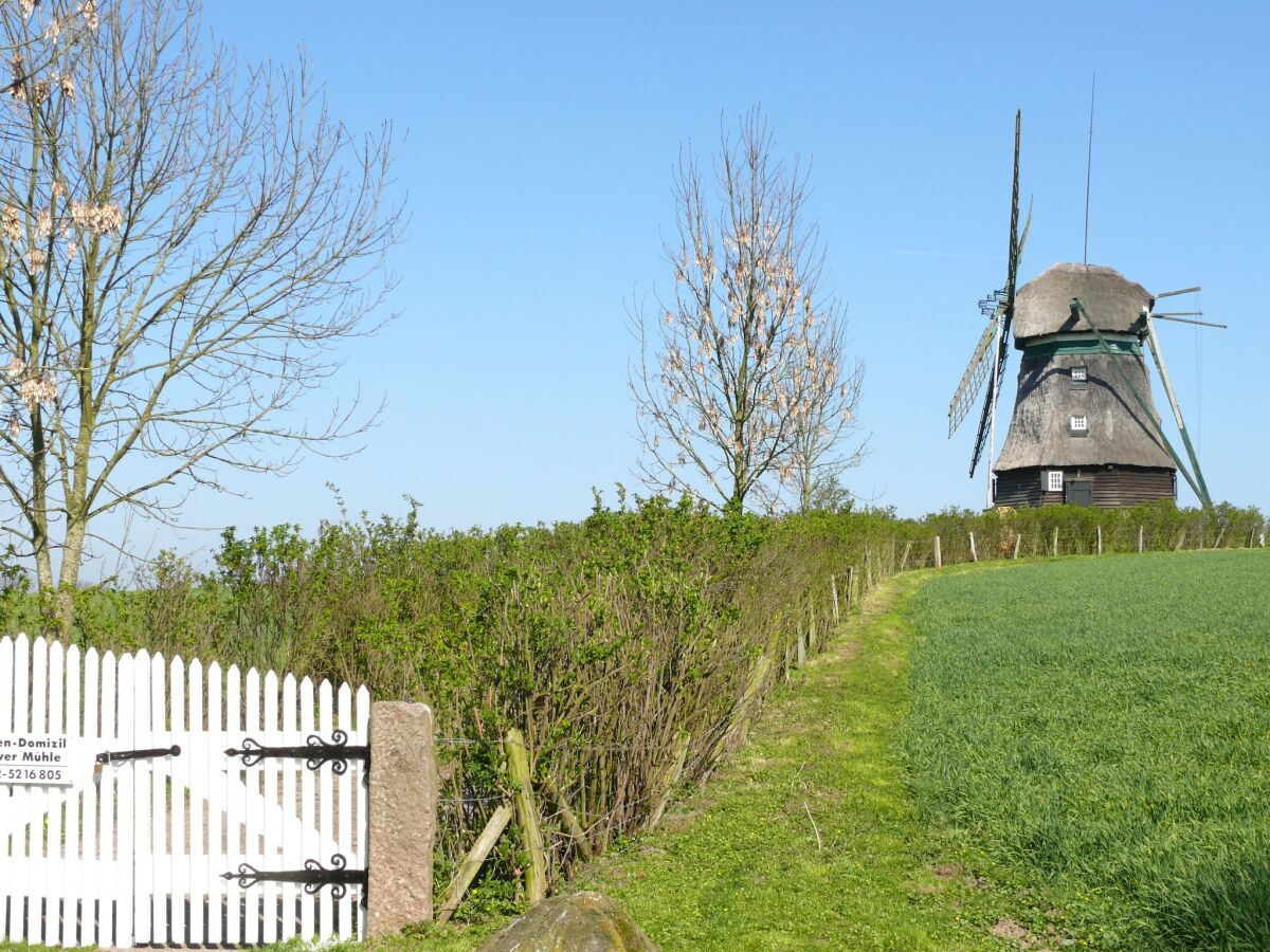 Holiday house Guest House near Coast - Outdoor photo 4