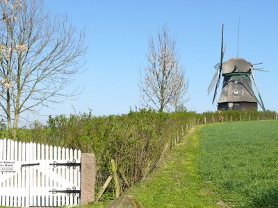 Holiday house Guest House near Coast - Outdoor photo 4