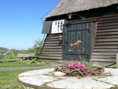 Holiday house Guest House near Coast - Outdoor photo 6