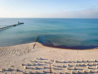 Holiday house Guest House near Coast - Environment photo 26