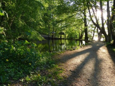 Holiday house Guest House near Coast - Environment photo 28