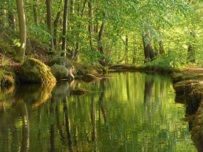 Holiday house Guest House near Coast - Environment photo 31