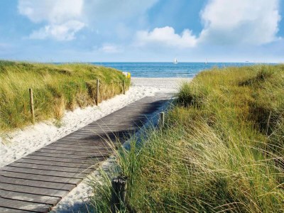 Holiday house Guest House near Coast - Environment photo 34