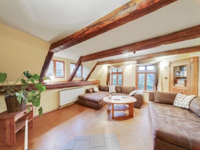 Farmhouse Geräumiges Apartment mit Garten - Features photo 8