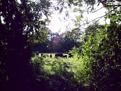 Farmhouse Geräumiges Apartment mit Garten - Environment photo 26
