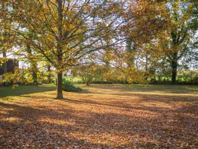 Farmhouse Geräumiges Apartment mit Garten - Environment photo 27