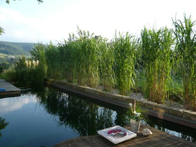 Apartment Luxuriöse Ferienwohnung in Bad Pyrmont - Outdoor photo 6