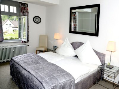 Apartment Luxuriöse Ferienwohnung in Bad Pyrmont - Features photo 18