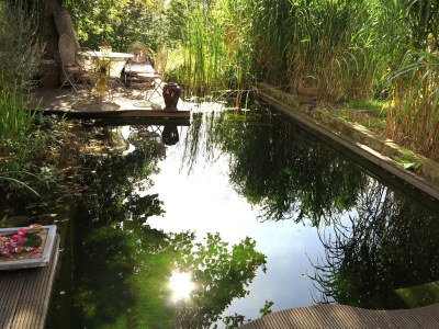 Apartment Luxuriöse Ferienwohnung in Bad Pyrmont - Environment photo 29