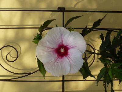 Apartment Luxuriöse Ferienwohnung in Bad Pyrmont - Outdoor photo 31