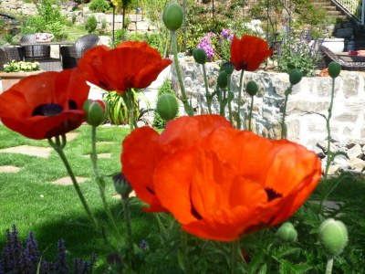 Apartment Luxuriöse Ferienwohnung in Bad Pyrmont - Outdoor photo 35