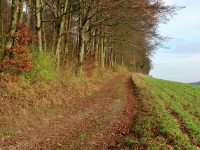 Apartment Apartment in Löwensen with terrace - Environment photo 37