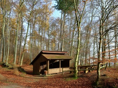 Apartment Apartment in Löwensen with terrace - Environment photo 39