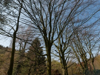 Holiday house Ferienhaus in Eichenborn mit Garten - Environment photo 35