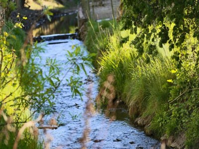 Apartment Ferienwohnung mit Sauna in Lothe - Environment photo 20