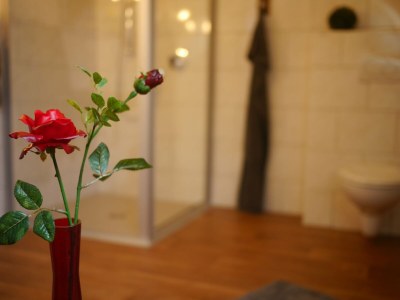 Apartment Ferienwohnung mit Sauna in Lothe - Outdoor photo 37