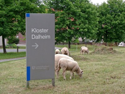 Holiday house Ferienhaus in am Teutoburger Wald - Environment photo 13