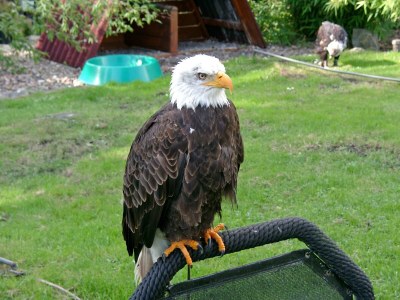 Holiday house Ferienhaus in am Teutoburger Wald - Environment photo 16