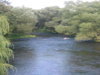 Apartment Landhaus nahe Sababurg Schloss - Environment photo 16