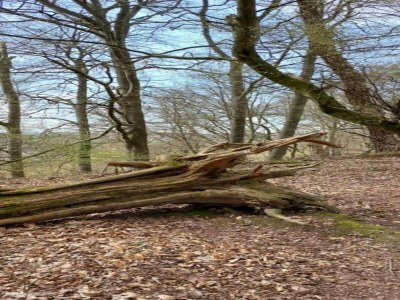 Apartment Landhaus nahe Sababurg Schloss - Environment photo 26