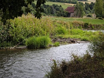 Apartment Landhaus nahe Sababurg Schloss - Environment photo 30