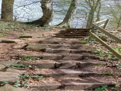 Apartment Landhaus nahe Sababurg Schloss - Environment photo 35