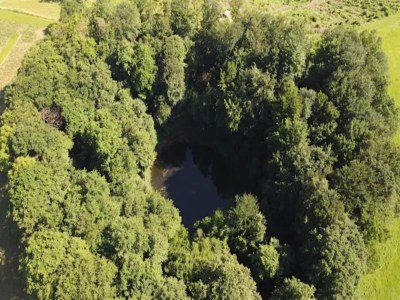 Apartment Ferienwohnung mit Garten auf dem Bauernhof - Environment photo 15