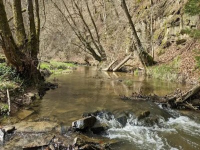 Apartment Ferienwohnung mit Garten auf dem Bauernhof - Environment photo 17