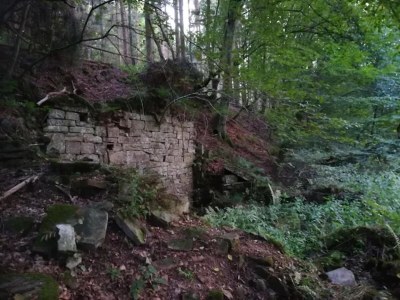 Apartment Ferienwohnung mit Garten auf dem Bauernhof - Environment photo 18
