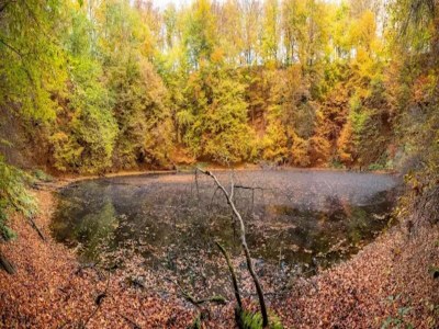 Apartment Ferienwohnung mit Garten auf dem Bauernhof - Environment photo 19